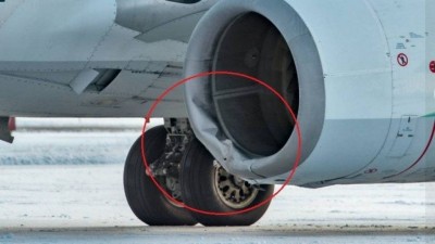 O biólogo local Robert Johnson registrou a avaria na aeronave que atropelou urso no Alasca - Foto: Reprodução/Facebook(Robert E-bear Johnson)