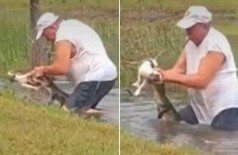Idoso tira cãozinho da boca de jacaré em lago - Foto: Reprodução/Florida Wildlife Federation