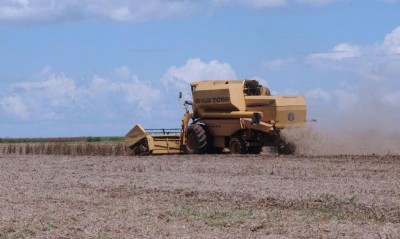 Valor Bruto da Produção Agropecuária deve crescer 4,2% (Foto: Agência Brasil)