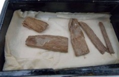Fragmentos de 5 mil anos achados em caixa de charutos na Escócia - Foto: Divulgação/Universidade de Aberdeen