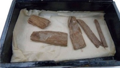 Fragmentos de 5 mil anos achados em caixa de charutos na Escócia - Foto: Divulgação/Universidade de Aberdeen