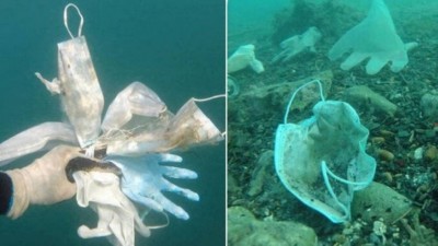 Máscaras recolhidas no mar - Foto: Reprodução