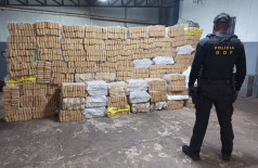 Droga escondida em residência está avaliada em mais de R$ 3.7 milhões (Foto: Divulgação/DOF)