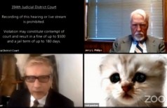 Advogado entrou em reunião pelo Zoom com filtro de gato (Foto: Reprodução)