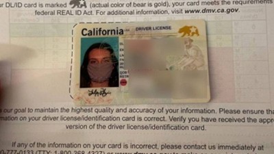 Lesley Pilgrim recebeu carteira de motorista com foto de máscara (Foto: Arquivo pessoal)