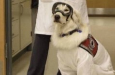 Sampson, com roupa de proteção para entrar em laboratório (Foto: Reprodução/Facebook Joey Ramp)