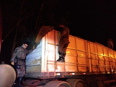 Polícia Militar Ambiental autua empresa paulista em R$ 18 mil por carga de madeira ilegal