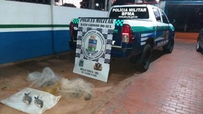 Foto: Assessoria/PM-MS