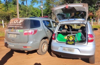 Foto: Divulgação/DOF