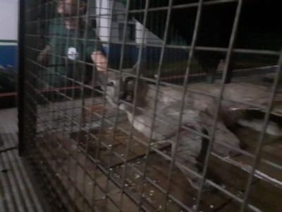 Foto: Assessoria/PM-MS