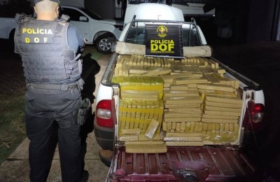 Foto: Divulgação/DOF