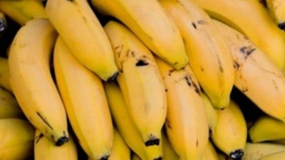 Bananas: item de 'luxo' na Coreia do Norte (Foto: Freepik)