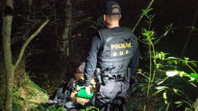 Foto: Divulgação/DOF