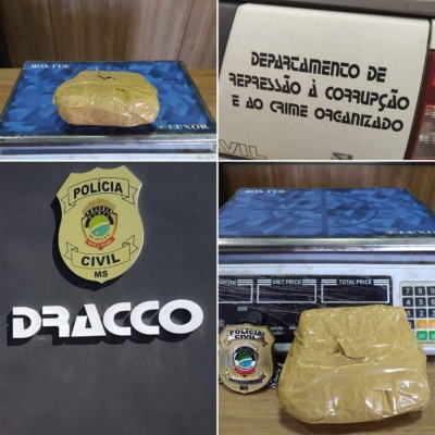 Droga foi apreendida (Foto: Divulgação/Polícia Civil)