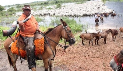 Foto: Divulgação/Governo de MS