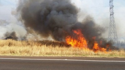 Foto: Divulgação Defesa Civil/MS