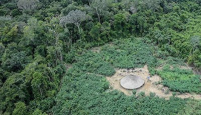 Foto: Divulgação/STF
