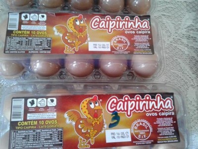 Foto: Divulgação/ProconMS