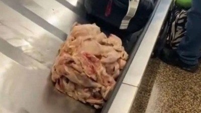 'Mala' de frango cru aparece em esteira de bagagens de aeroporto de Seattle (Foto: Divulgação/TSA)
