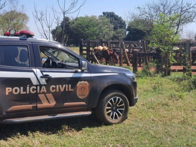 Foto: Assessoria/Polícia Civil