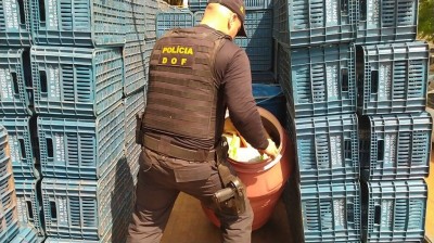 Foto: Divulgação/DOF