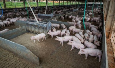 Foto: CNA/Wenderson Araujo/Trilux