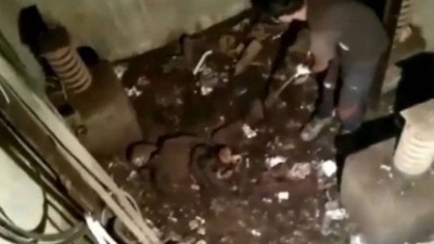 Esqueleto humano é achado no fosso de elevador inoperante por mais de duas décadas