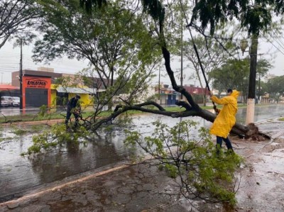 Foto: Divulgação/Prefeitura de Dourados