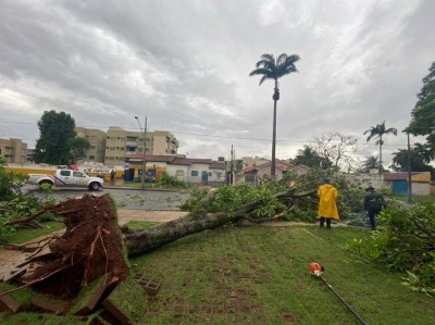 Foto: Divulgação/Defesa Civil