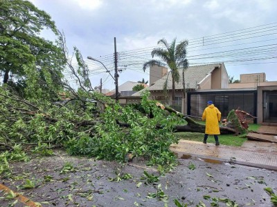 Foto: Divulgação/Defesa Civil