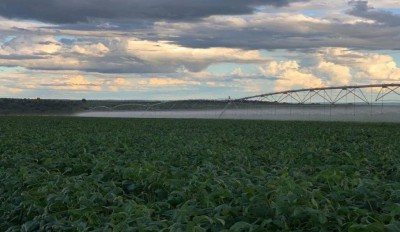 Dezembro terá influência do La Niña e estiagem pode ser acentuada em MS