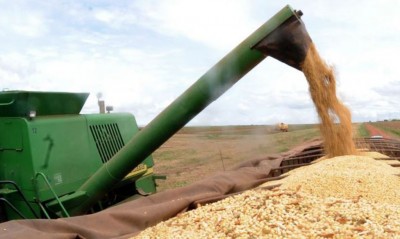 Safra de grãos 2021/2022 tem expectativa recorde