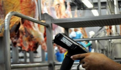 Programa ajuda Mato Grosso do Sul a produzir a melhor carne do Brasil