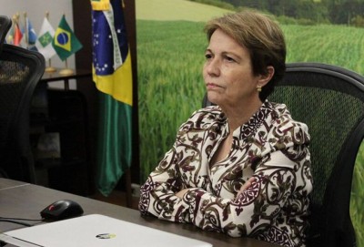 Foto: Divulgação/Mapa