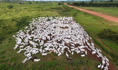 Foto: Divulgação/Polícia Federal