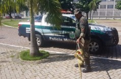 Sucuri foi capturada no Centro de Convenções do município de Corumbá (Foto: Divulgação/PMA)