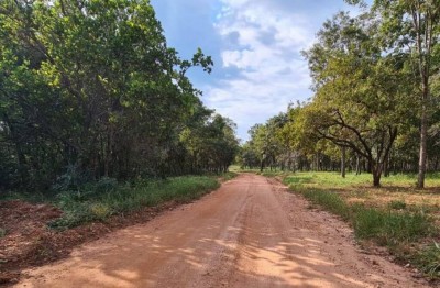 Foto: Reprodução/Estância Mimosa