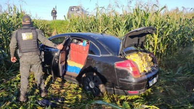 O carro corregado com droga saiu da pista e o condutor fugiu a pé em meio a plantação de milho (Foto: Divulgação/DOF)