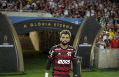 Foto: Marcelo Cortes/Flamengo/Direitos Reservados