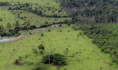 Foto: MMA/Arquivo