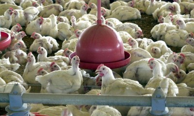 Foto: Agência Brasil/Arquivo