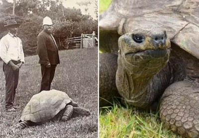 Foto: Reprodução/Redes Sociais