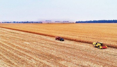 Mato Grosso do Sul tem 91,6% das lavouras em boas condições (Foto Saul Schramm/Arquivo)