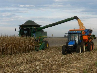 Estimativa de produtividade média é de 80,33 sacas por hectare (Foto: Arquivo/Famasul)