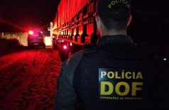 Carga avaliada em quase R$ 3 milhões era transportada em uma carreta bitrem (Foto: Divulgação/DOF)