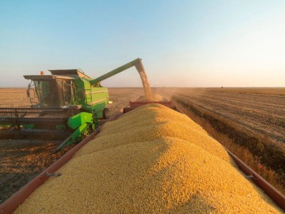 Região norte do Estado tem a colheita mais acelerada (Foto: Aprosoja-MS/Arquivo)