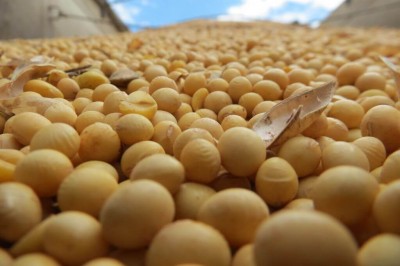 Foto: Divulgação/Aprosoja-MS