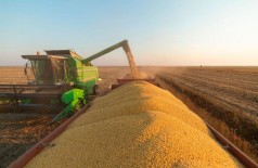 Mato Grosso do Sul estima produzir 13,8 milhões de toneladas de soja (Foto: Aprosoja-MS/Arquivo)