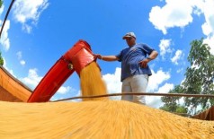 Área colhida de soja em Mato Grosso do Sul supera 58% do total cultivado (Foto: Álvaro Rezende/Governo MS)