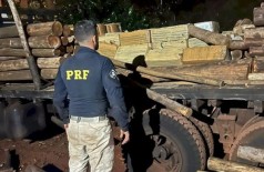 Os fardos da droga estavam escondidos em meio a uma carga de eucalipto (Foto: Divulgação/PRF)